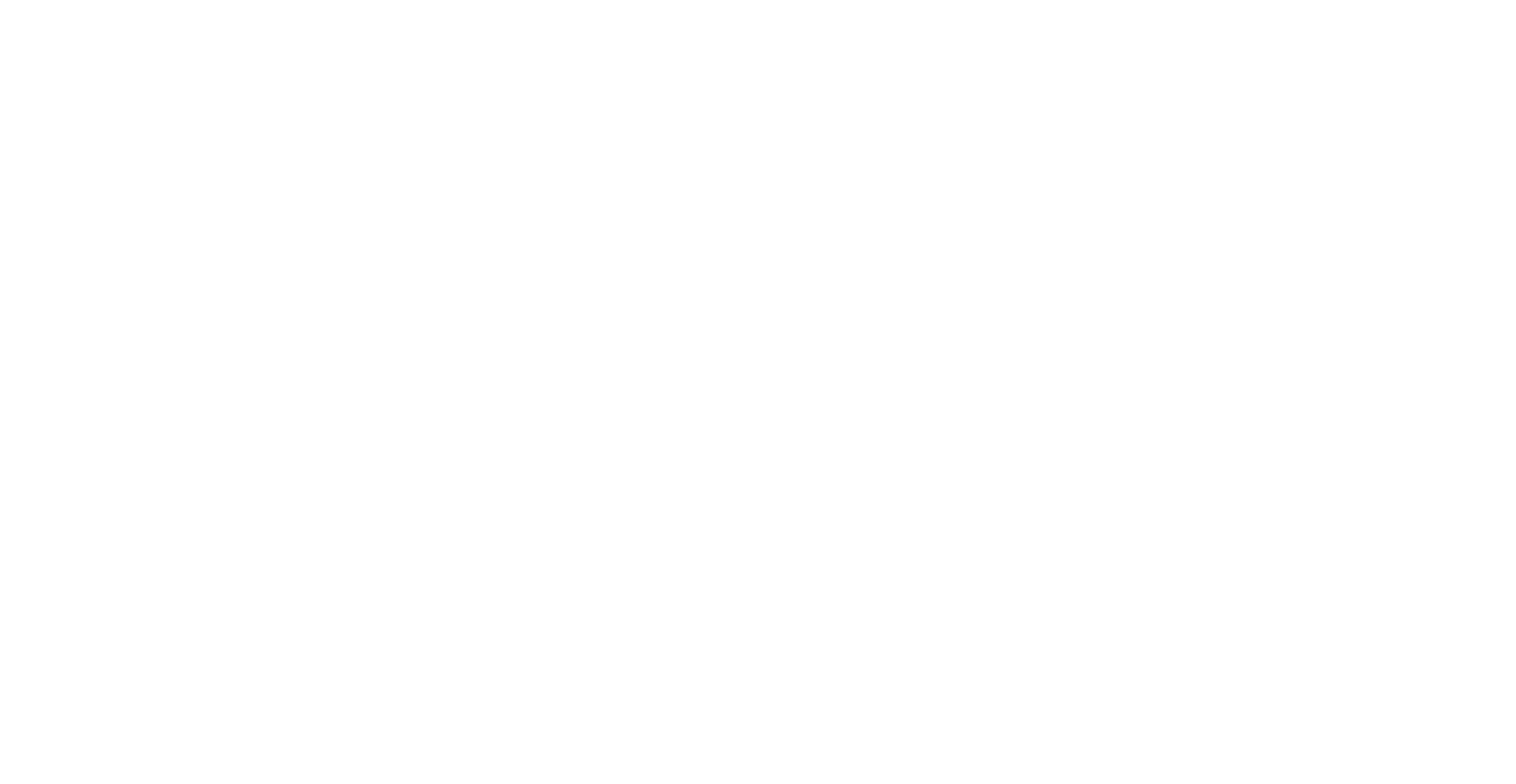 puntclub-logo